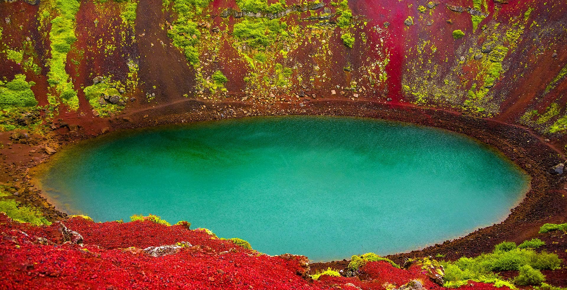 Cover Image for Explosion of Colors That Catch the Eye