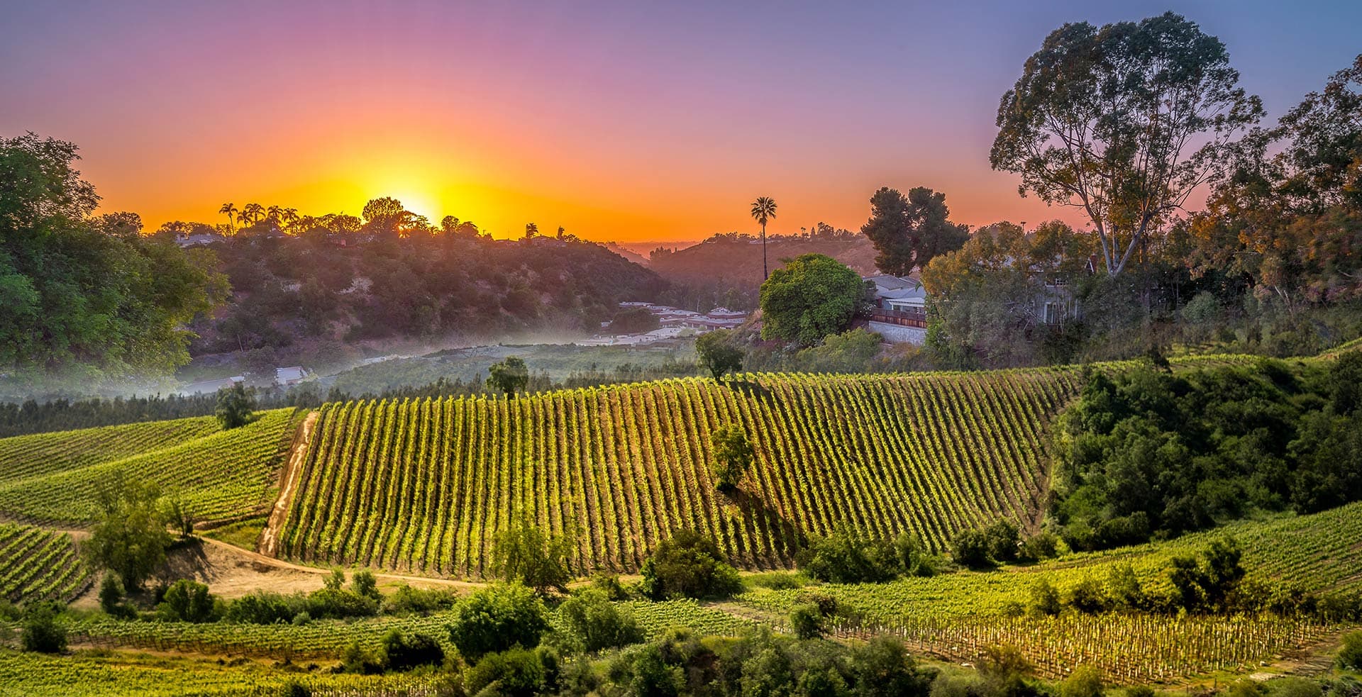 Cover Image for A 3-Day Road Trip Through Chile’s Wine Country