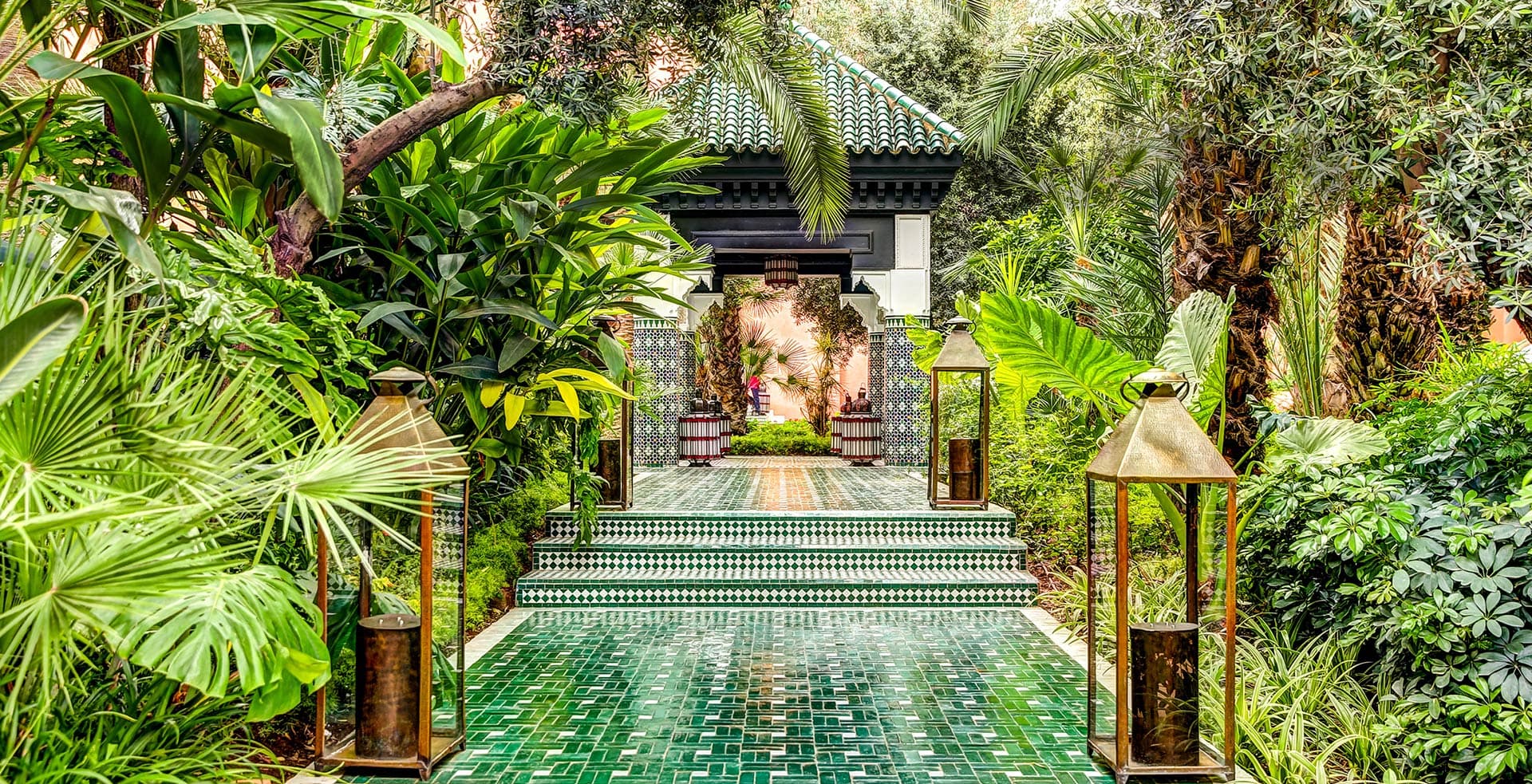 Cover Image for Better Than Garden Variety