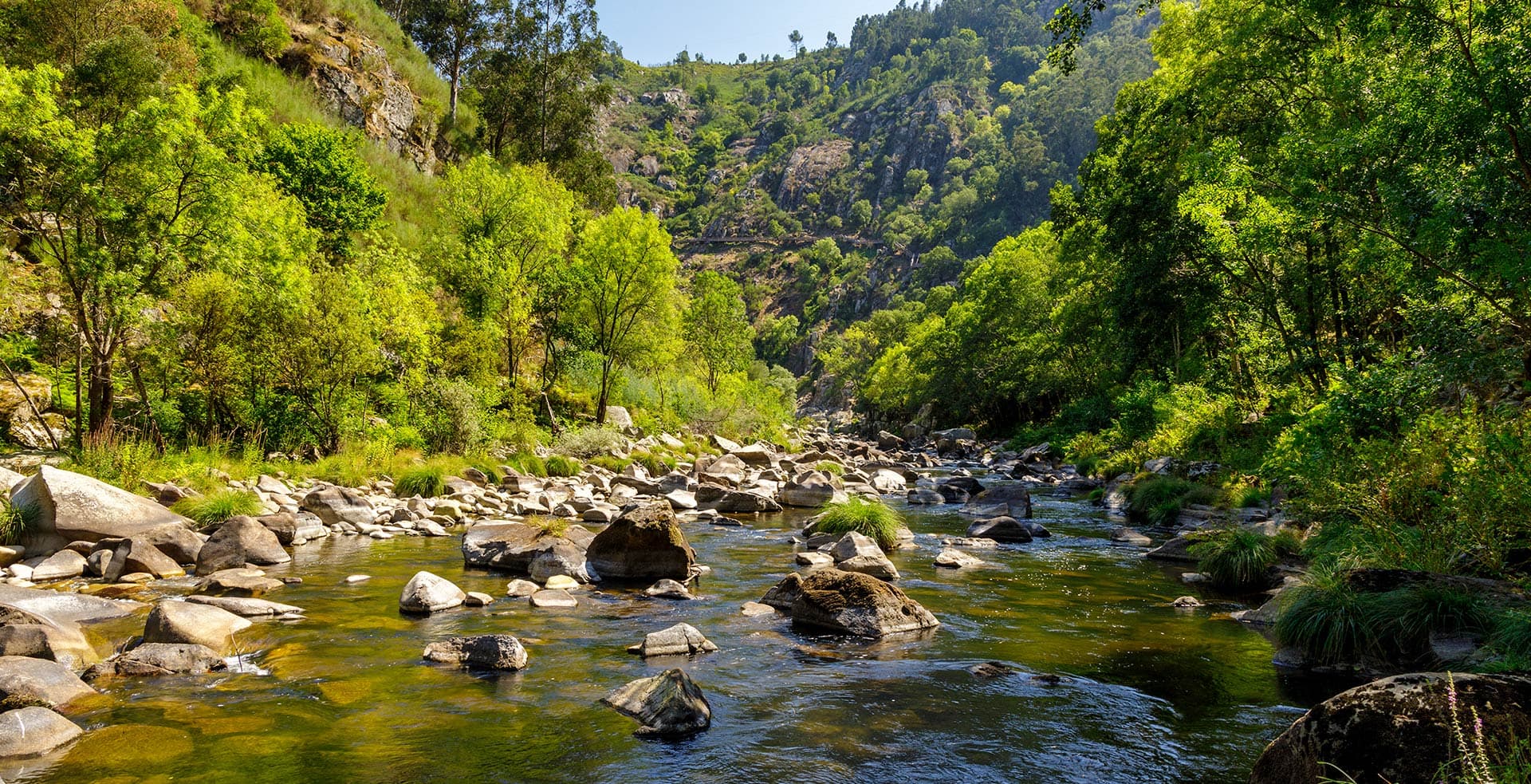 Cover Image for Between the Rocks