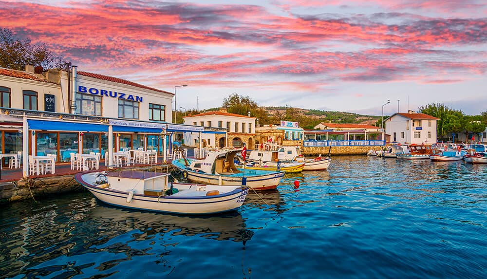 Picture of the port