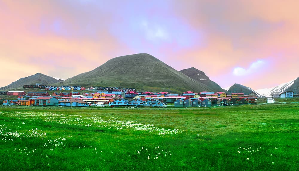 Picture of the port