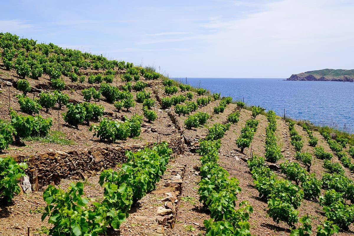 Picture of the port