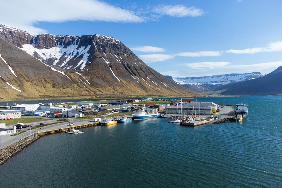 Picture of the port