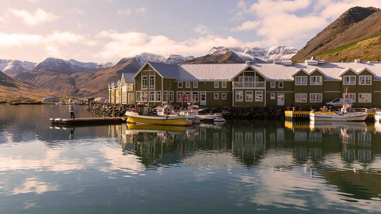 Picture of the port