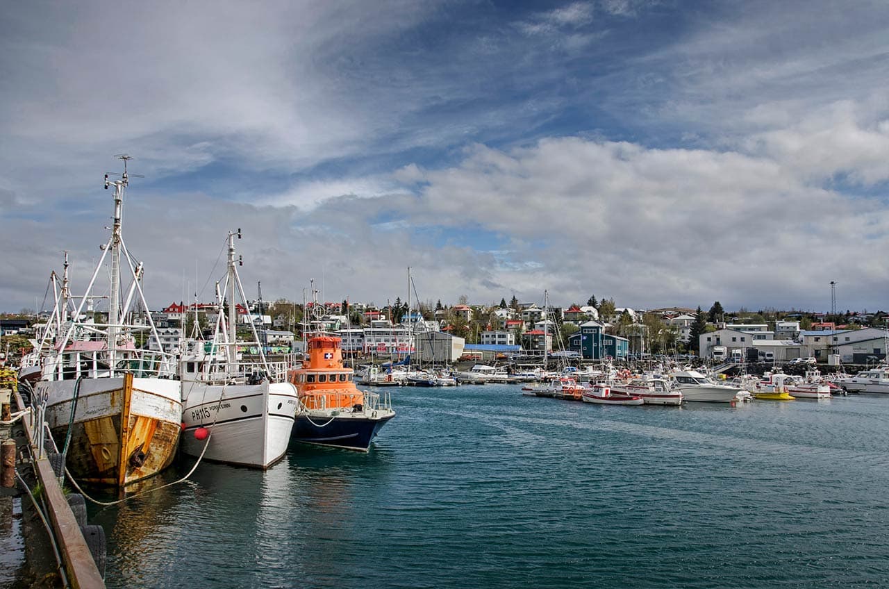 Picture of the port