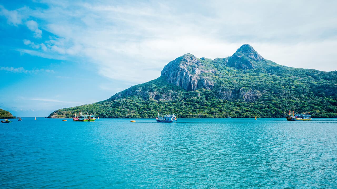 Picture of the port