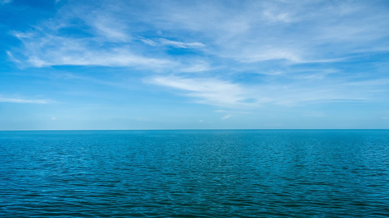 Picture of the port